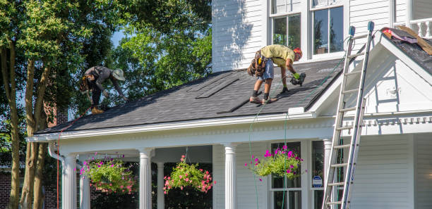 Best Chimney Flashing Repair  in Cave Spring, VA